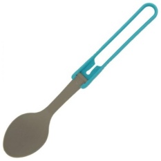 MSR Spoon